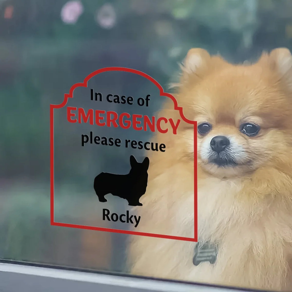 In Case of Emergency Pet Inside Rescue mk4