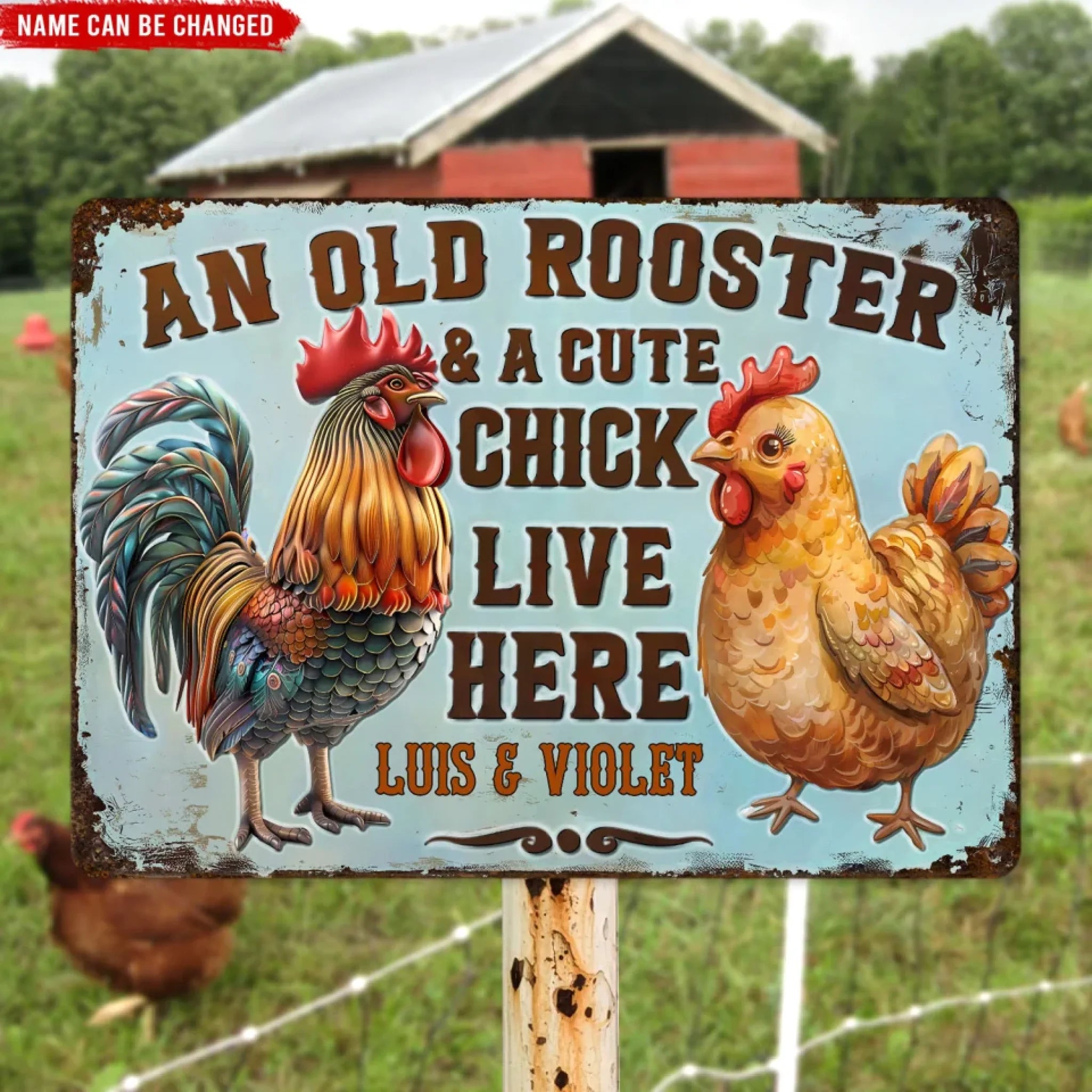 An Old Rooster And A Cute Chick Live Here - Personalized Metal Sign, F ...