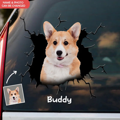 Dog Pic Crack Car - Personalized Decal, Gift For Dog Lovers, Dog Car Decal