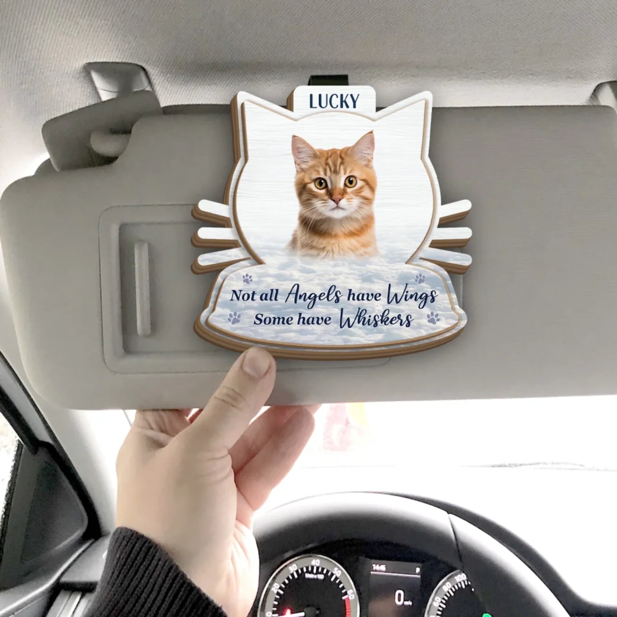 Not All Angels Have Wings Some Have Whishers mk 4