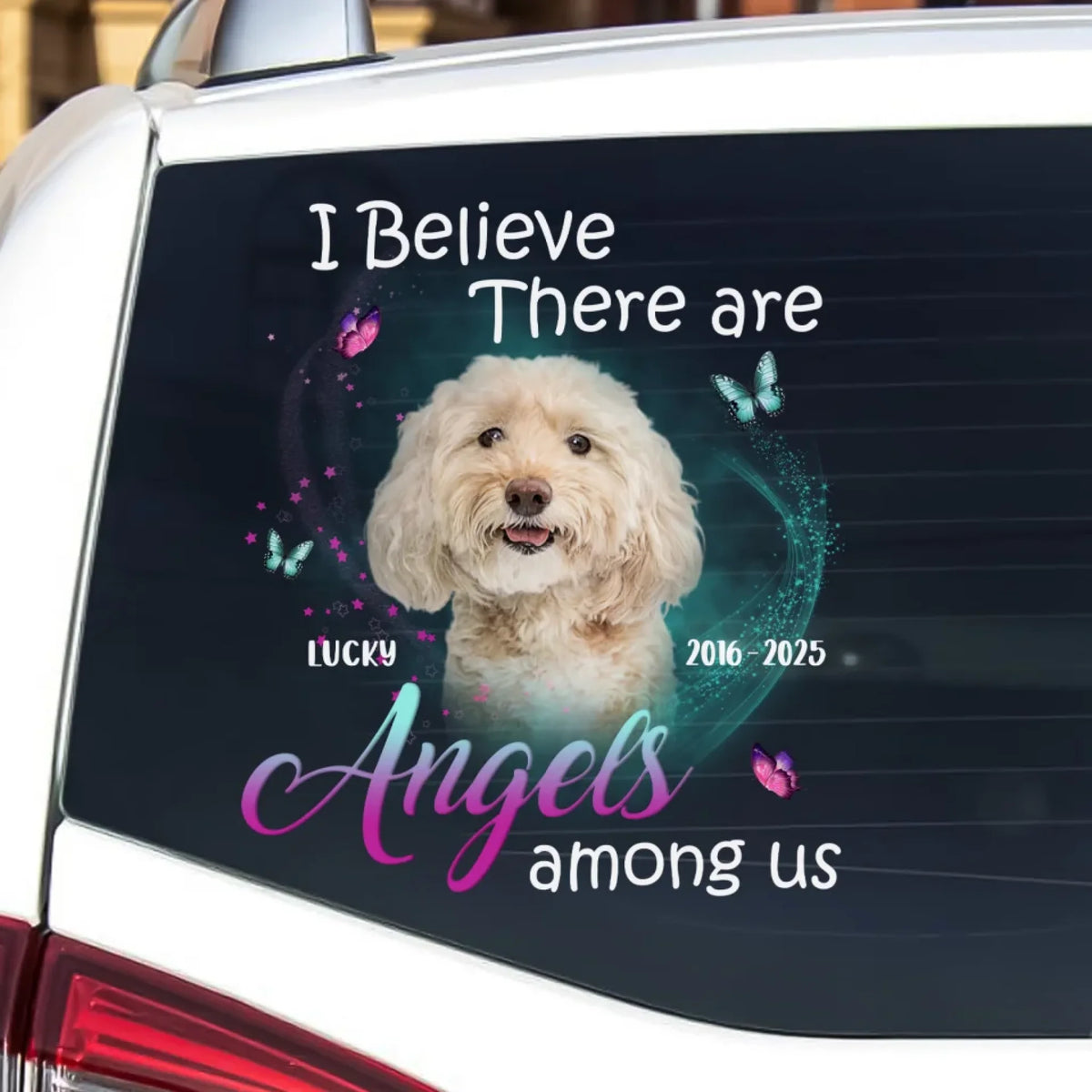 Custom Dog Photo, I Believe There Are Angels Among Us mk 1