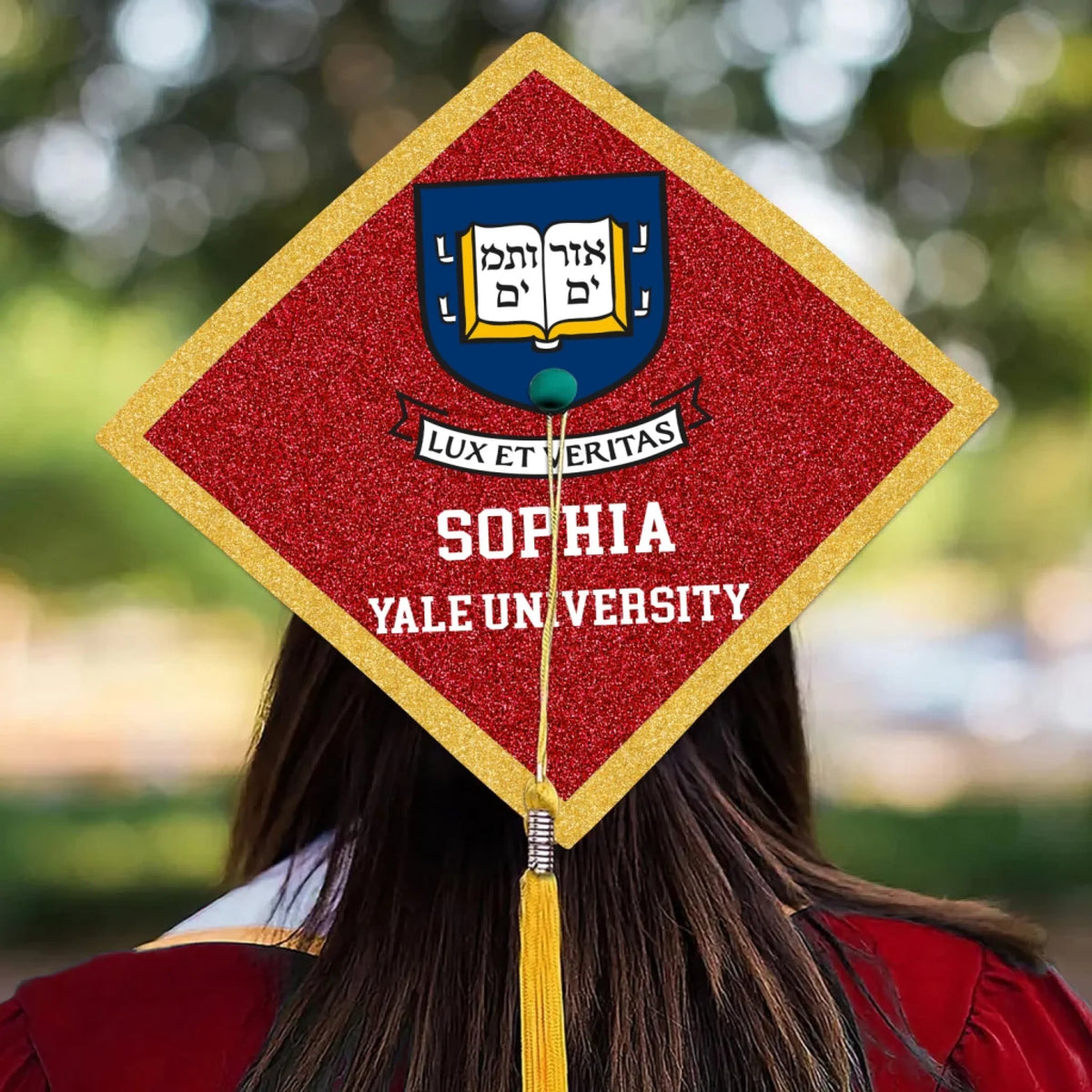 Custom Highschool College Logo mk 2