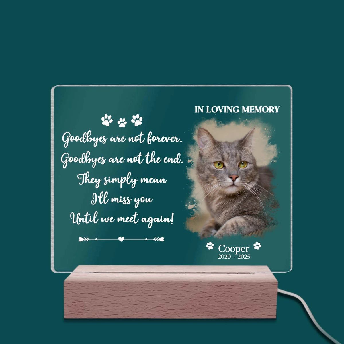 Thanks For Always Being My Guiding Light mk