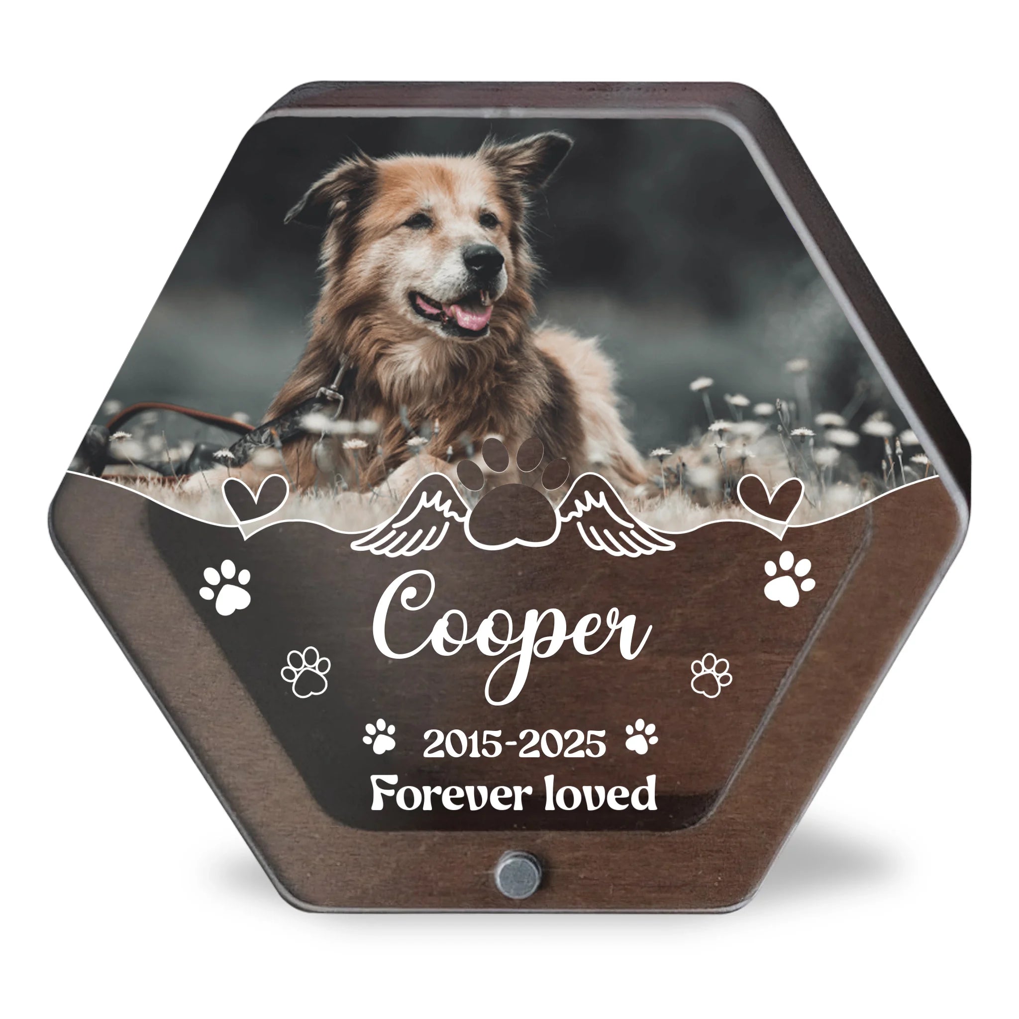 Custom Pet Photo Forever In Our Hearts - Personalized Memorial Box, Gift For Dog Lover