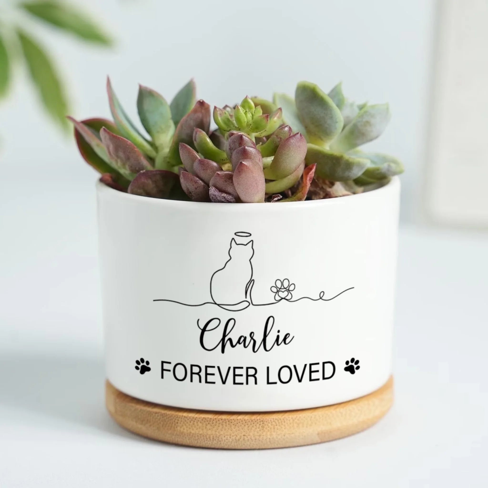 Forever Loved Cat mk 5