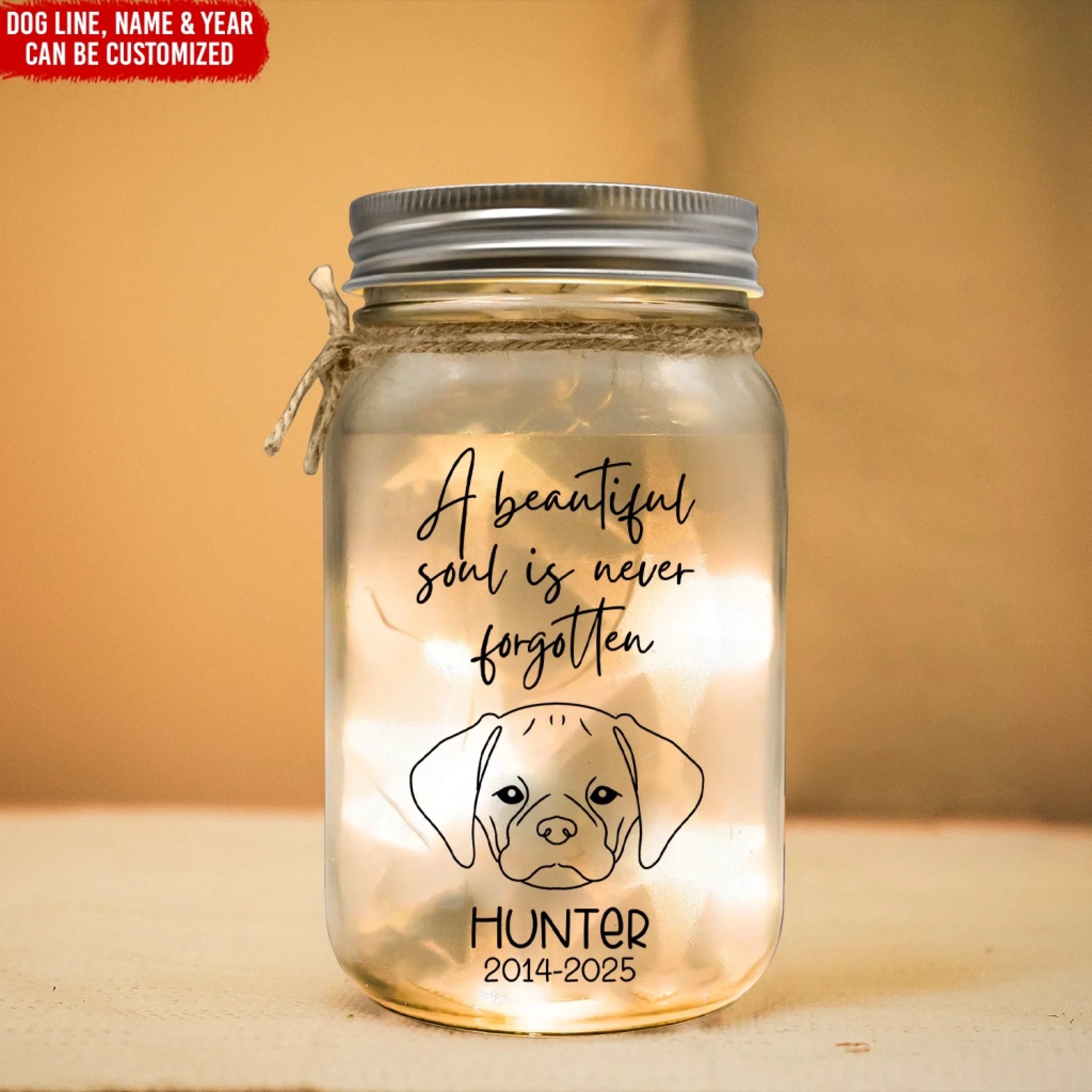 A Beautiful Soul is Never Forgotten - Personalized Mason Jar Light, Memorial Gift For Loss Of Pet