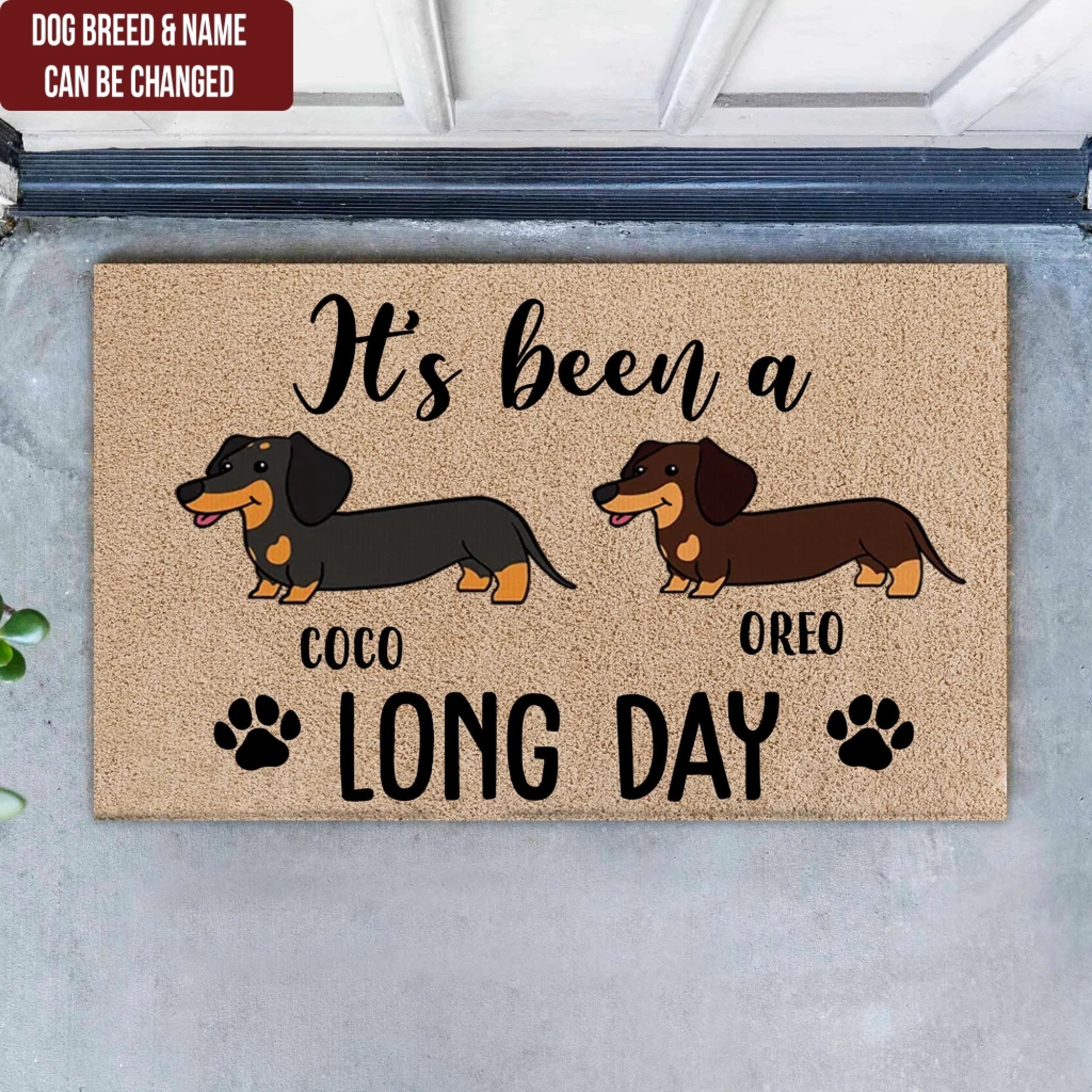 It's Been A Long Day - Personalized Doormat, Funny Gift For Pet Lovers