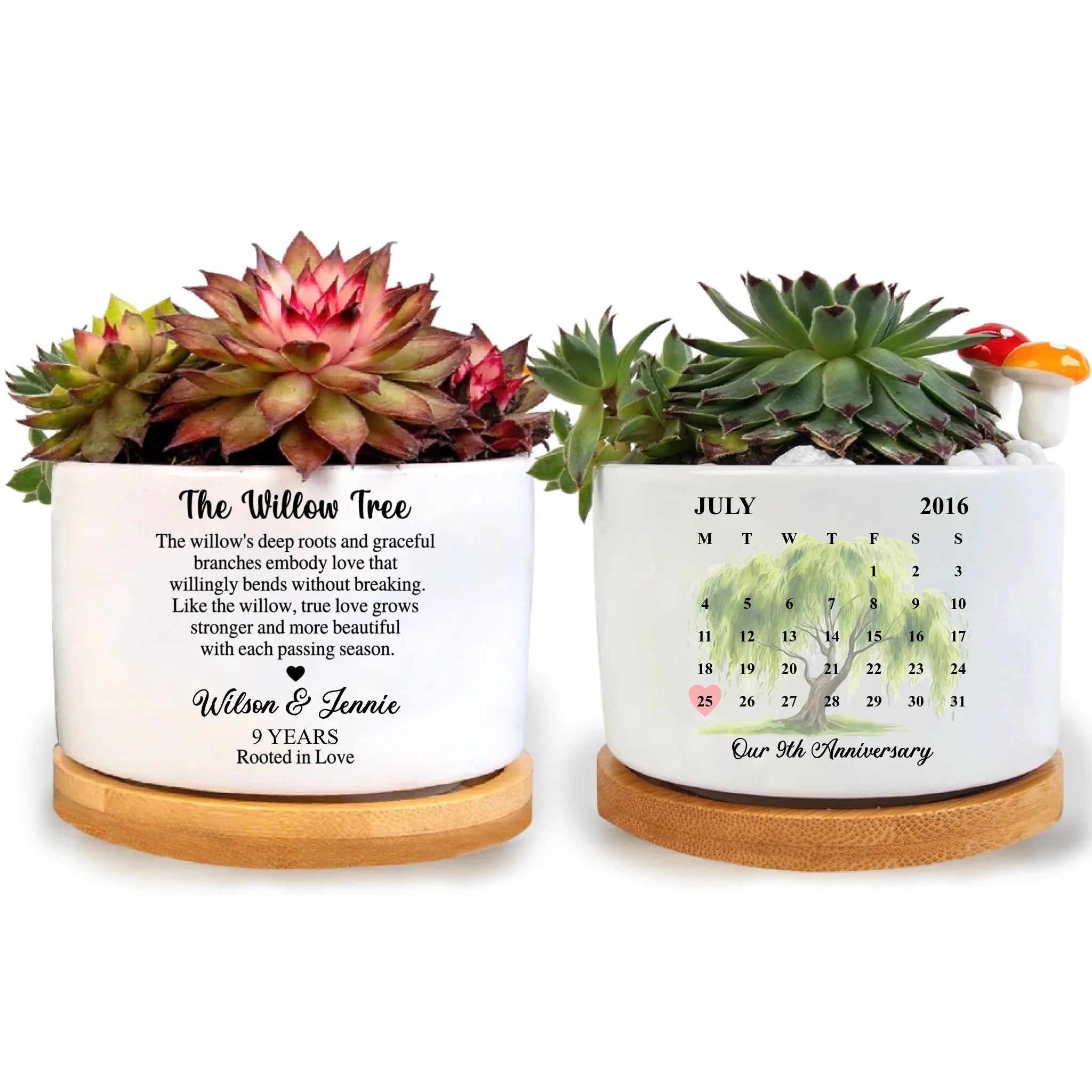 9th Anniversary Willow Tree - Personalized Plant Pot, Couple Anniversary Gift