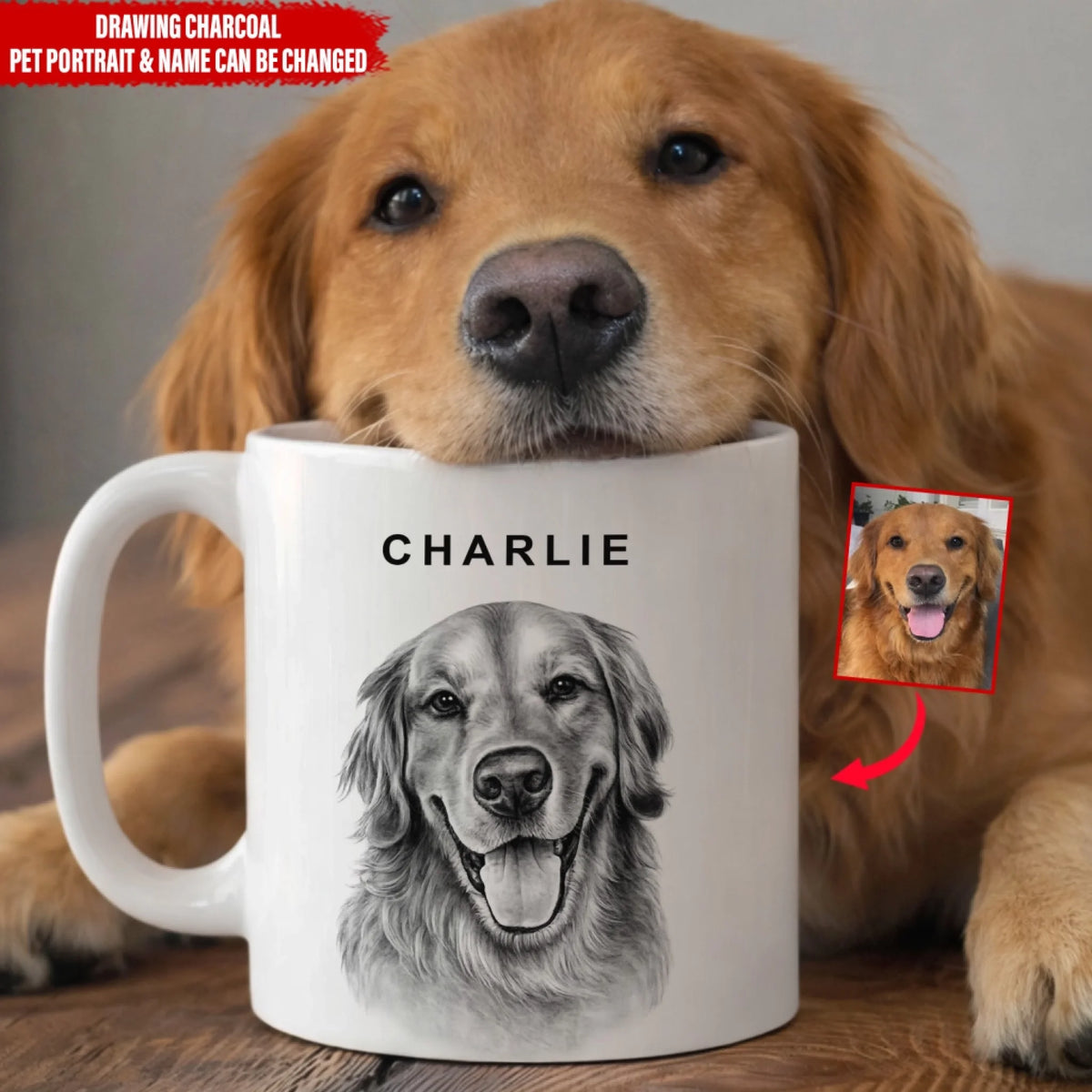 Charcoal Pet Portrait mk ads