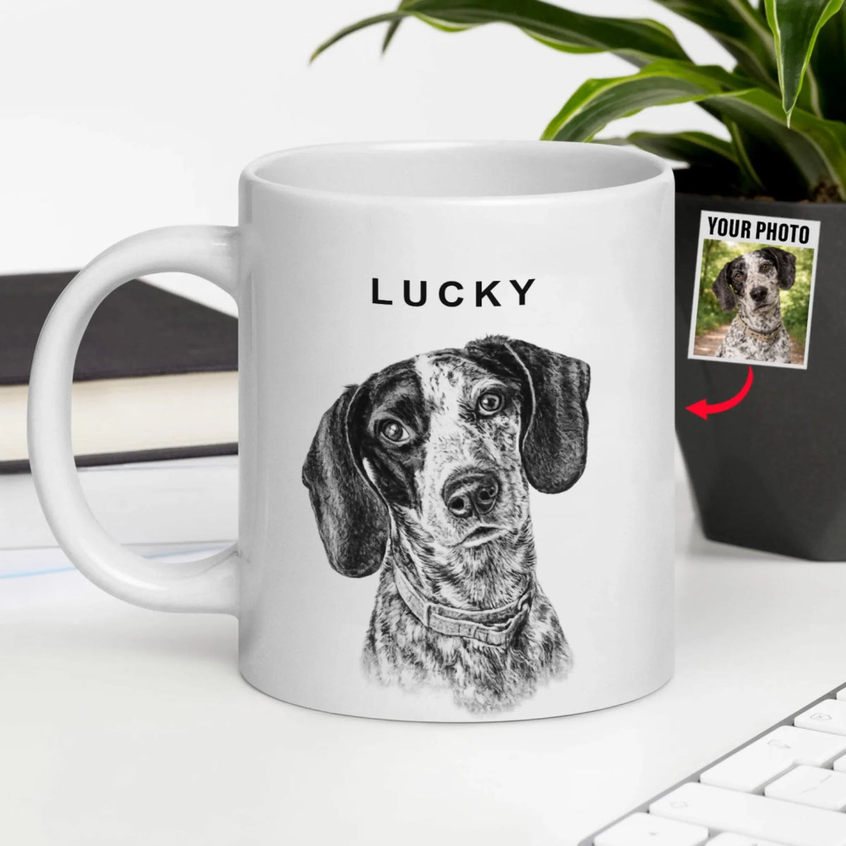 Charcoal Pet Portrait mk 5