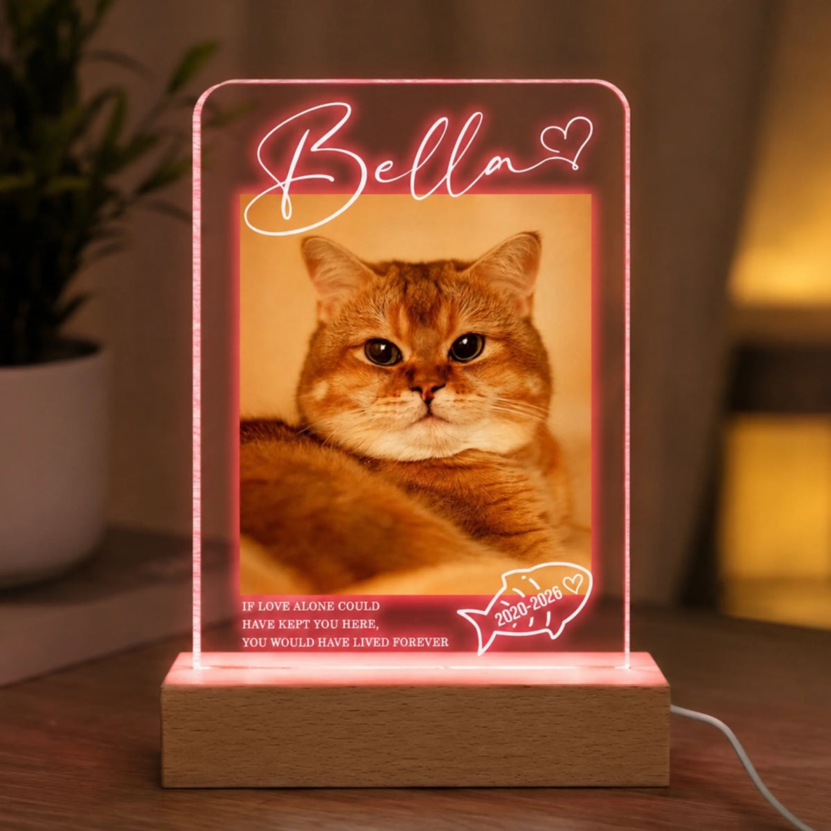 If Love Alone Could Have Kept You Here - Personalized Acrylic Night Light, Pet Loss Memorial Acrylic Night Light, In Loving Memory Of Pet