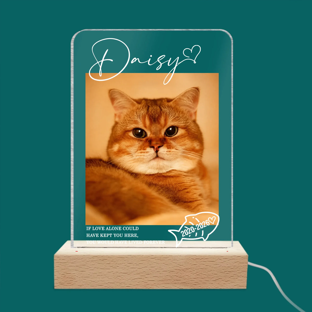 mk preview cat
