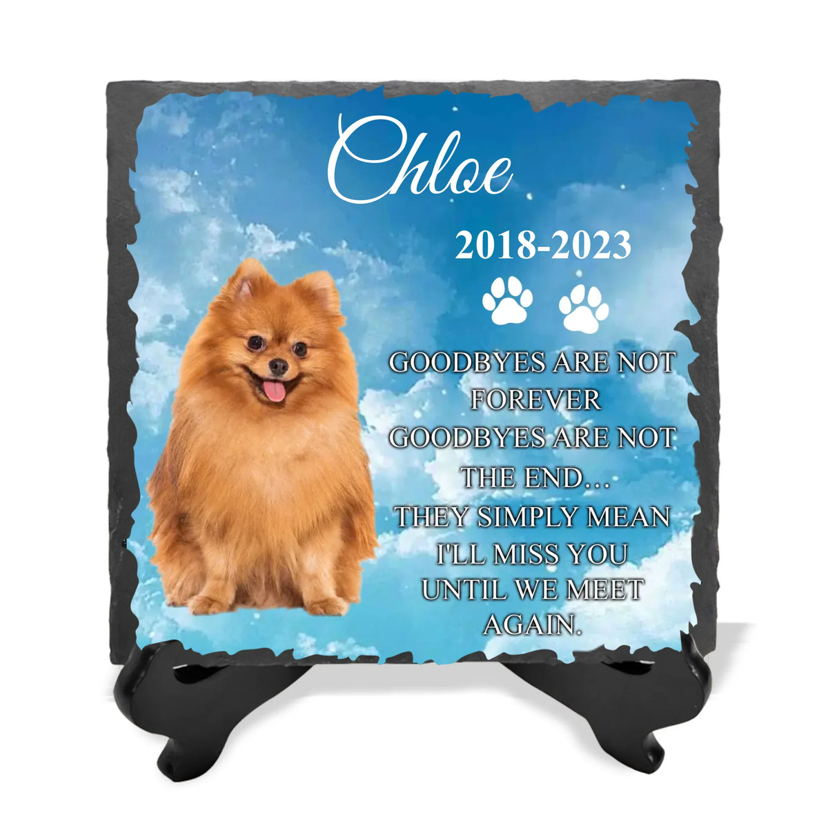Goodbyes Are Not Forever - Personalized Memorial Stone, Pet Loss Gift - MS63