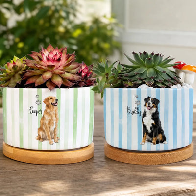 Paws Leave Love Behind - Personalized Plant Pot, Custom Photo And Name Memorial Pet Plant Pot, Sympathy Gift