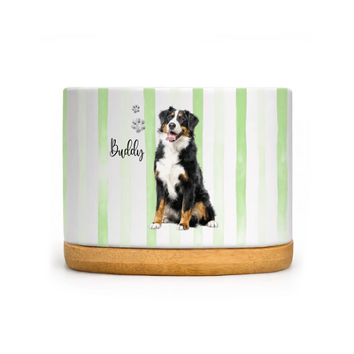 Paws Leave Love Behind - Personalized Plant Pot, Custom Photo And Name Memorial Pet Plant Pot, Sympathy Gift