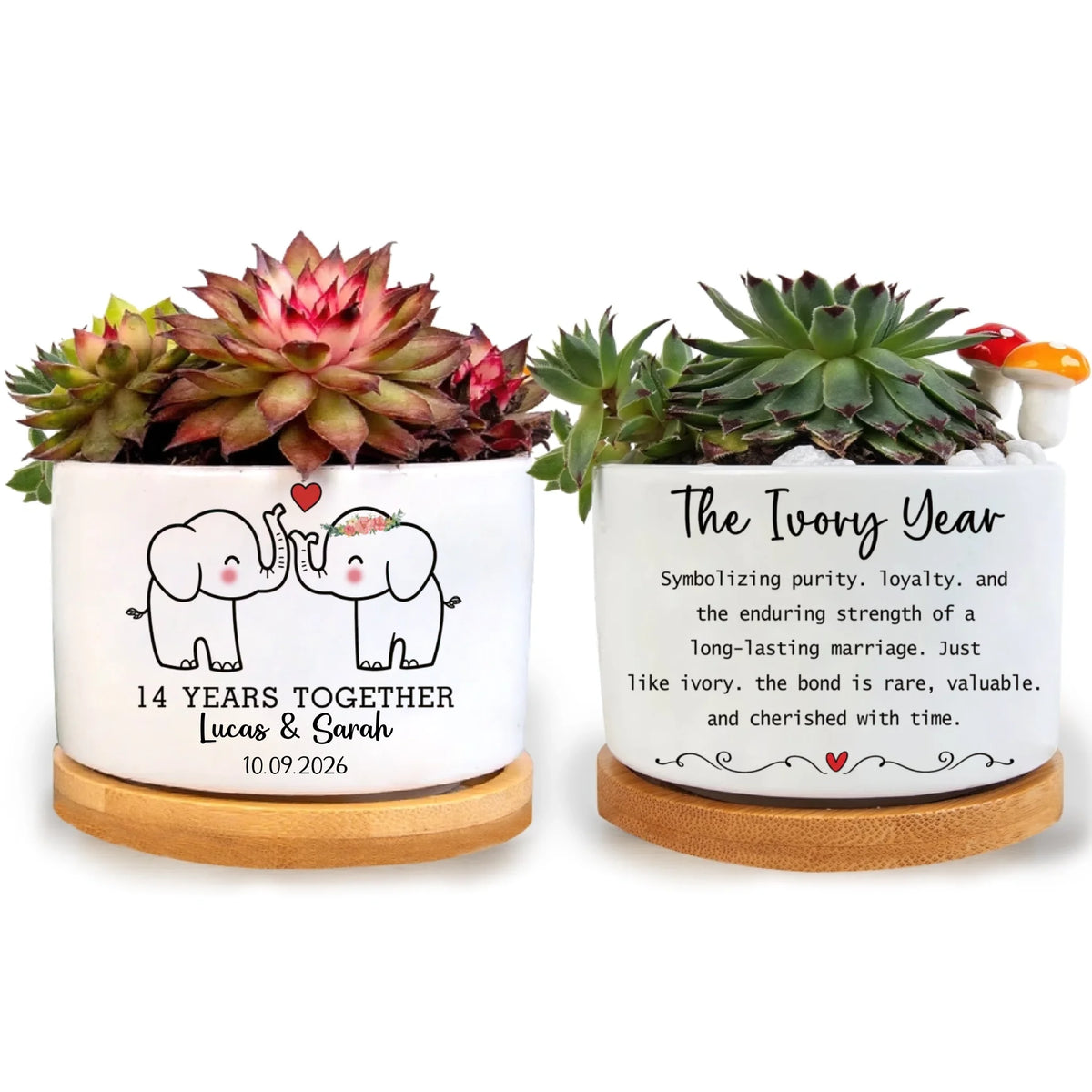 A Long-lasting Marriage - Personalized Plant Pot,  The Ivory Year Pot for Wife, 14th Wedding Anniversary Gift