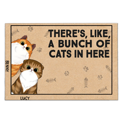 There's Like A Bunch Of Cats In Here- Personalized Doormat, Gift For Cat Lovers , Cat Mom Home Decor