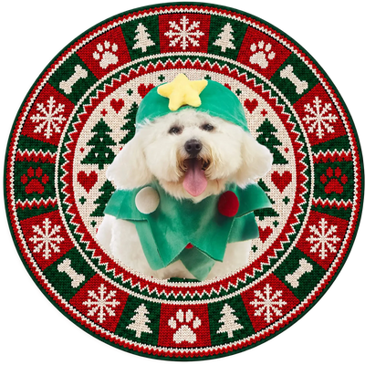 Custom Dog Photo Ugly Christmas - Personalized Doormat, Pet Christmas Rug