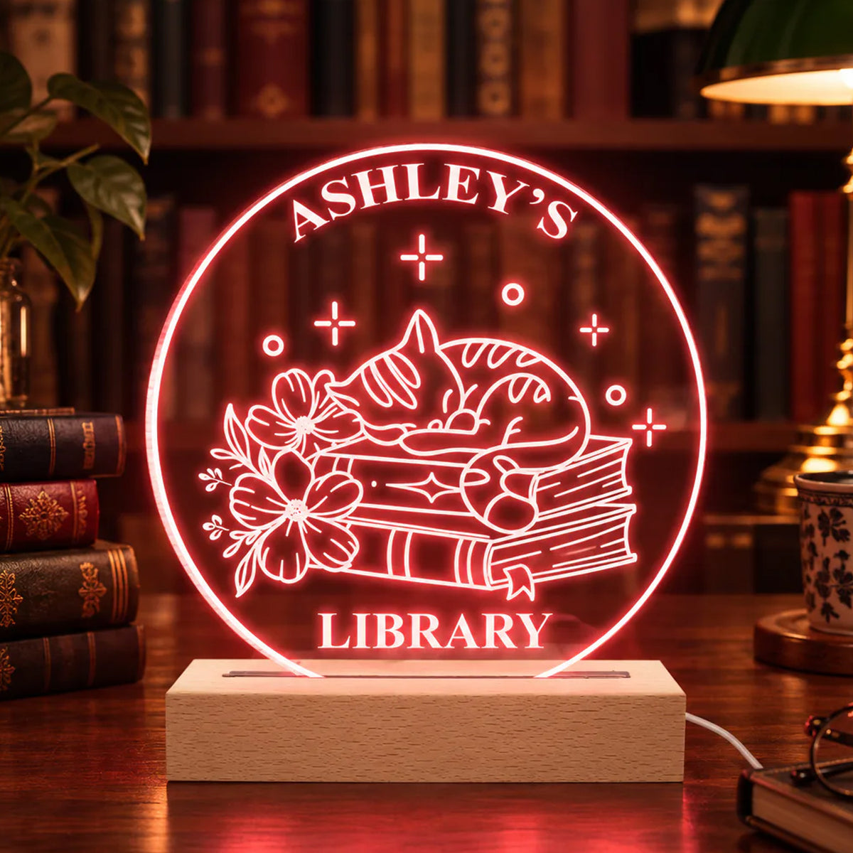 Just A Girl Who Loves Books- Personalized Acrylic Night Light, Custom Book Decor, Bookish Bookshelf Sign, Book Lover Gift