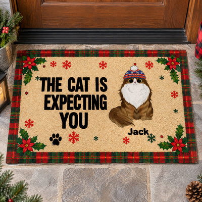 Personalized cat doormat showing one cat in a knit hat named Jack, on stone steps by a wooden door