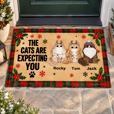 Personalized cat doormat with three cats and holly flowers on a stone entryway near a green door