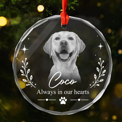 You Are Always Missed - Personalized Glass Ornament, Custom Pet Photo Memorial Ornament, Sympathy Gift