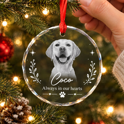 You Are Always Missed - Personalized Glass Ornament, Custom Pet Photo Memorial Ornament, Sympathy Gift