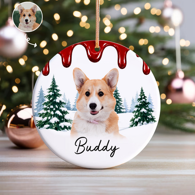 Personalized Pet Portrait Ornament - Dog First Christmas