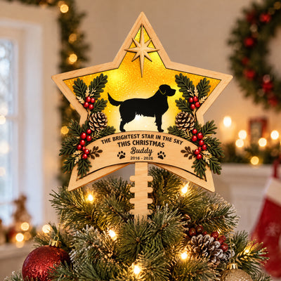 The Brightest Star In The Sky This Christmas - Personalized Tree Topper, Pet Memorial Gift