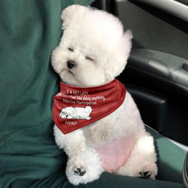 I'm Not Lazy, Personalized Pet Dog Headscarf, Personalized Dog Bandana