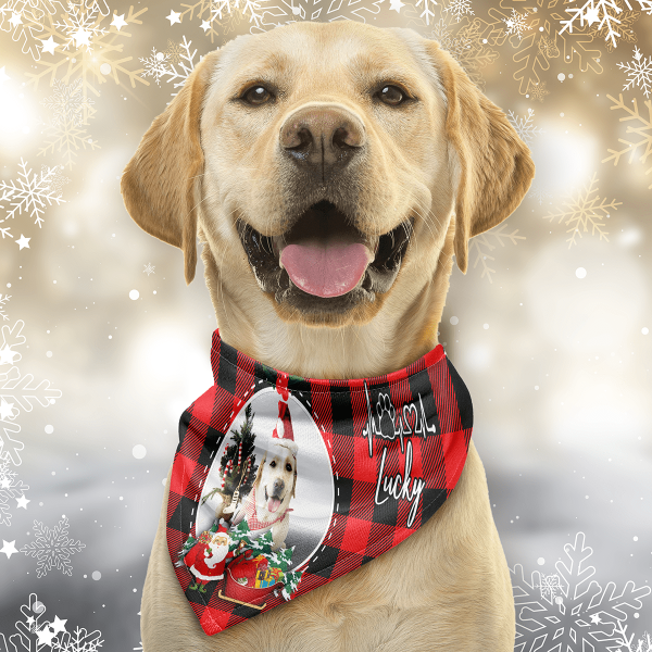 Santa Claus Pet Christmas, Personalized Pet Dog Headscarf, Personalized Dog Bandana