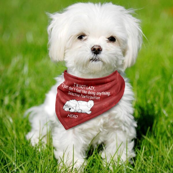 I'm Not Lazy, Personalized Pet Dog Headscarf, Personalized Dog Bandana