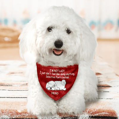 I'm Not Lazy, Personalized Pet Dog Headscarf, Personalized Dog Bandana