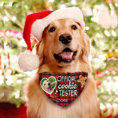 Official Cookie Tester, Custom Photo Dog,Pet Dog Headscarf, Dog Banana