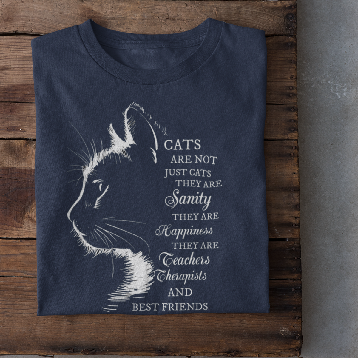You Are Not Just Cats Shirt, Cat Lover Shirt, Gift For Cat Lover - Personalized T-shirt