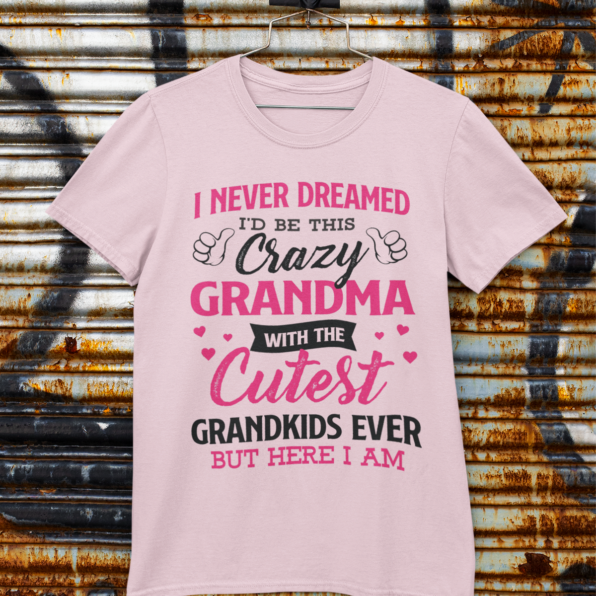 I Never Dreamed I'd Be this Crazy Grandma Shirt, Gift For Grandma